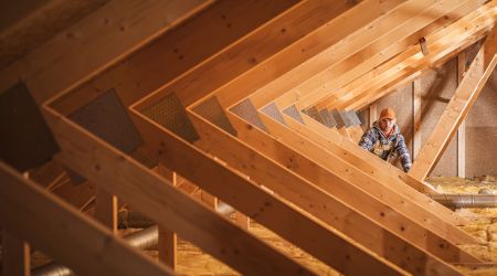 attic inspection